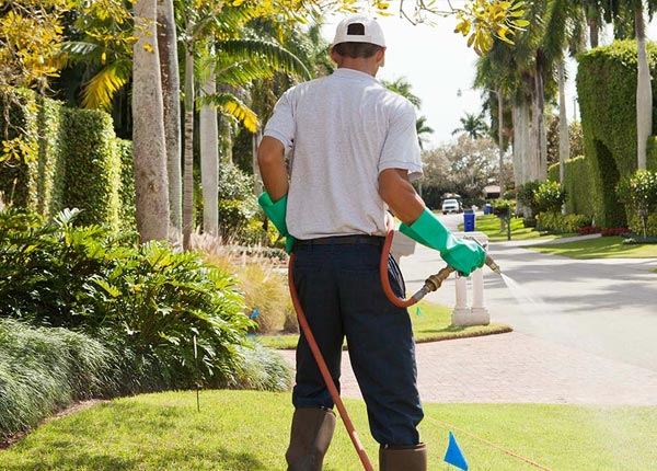 About Anita PA Pest Control